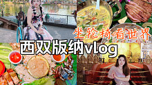 欢迎收看《自由追求宣传片》之轮椅西双版纳VLOG