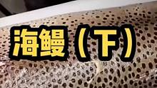 海鳗（下）#海洋生物 #海水鱼珊瑚 #海底世界 #水族爱好者 #海水缸 