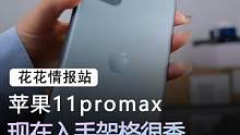 苹果11promax#手机 #苹果 #数码科技 