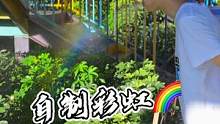 看彩虹不需要等太阳雨啦！自制彩虹这么简单？叫你朋友给你喷个彩虹！#热门鉴定#五花八门的抖音视频鉴定 