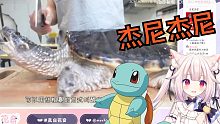 日本萝莉看爆炒鳄龟：这不是杰尼龟吗