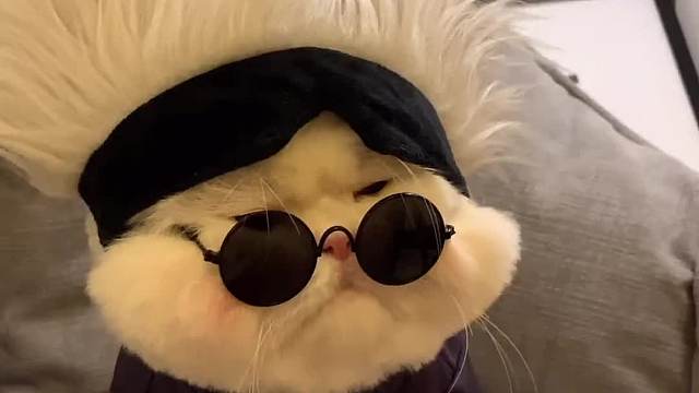 当球球cos五条悟猫真的太好笑了,直接笑喷,跟五条老师说声对不起!