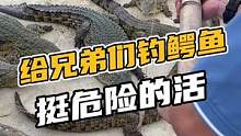 给兄弟们钓鳄鱼，挺危险的活#鳄珍