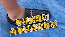 有兄弟想钓鳄鱼豆豆鞋的没？#鳄珍