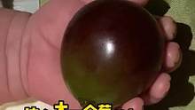 怪不得小时候一个葡萄可以啃半天##搞笑 #人类幼崽到底有多可爱 #娱乐评论大赏  