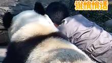 你们拿熊猫当国宝，我把它当兄弟！