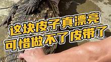 这块皮子真漂亮可惜做不了皮带了 #鳄珍 