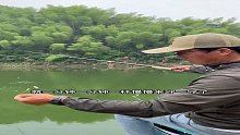 山高水深又逢阴雨低温，那么钓鲢鳙时，线组也要偏精细吗？（11）