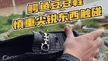 鳄鱼豆豆鞋慎重尖锐的东西触碰#鳄珍