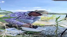 又是个更大但更浅的湖，高温天它会是什么鱼情呢？（4）