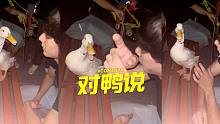 辣知识：你用唐老鸭的语气和鸭对话，鸭能听懂！