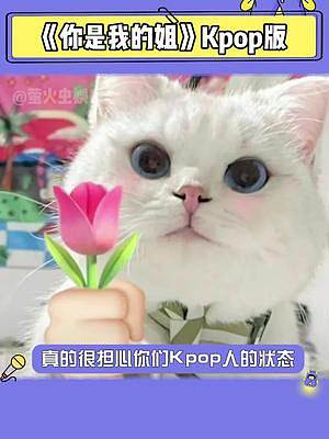 我已經(jīng)被洗腦了，你是我的姐！我唯一的姐！#你是我的姐#搞笑 #娛樂(lè)評(píng)論大賞 