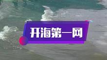 开海第一网，收获让人很意外啊，是亏是赚？