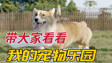 带大家看看我的育宠乐园
