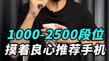 1000-2500，摸着良心推荐手机！不好用你来打我！#玩转数码