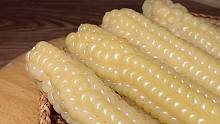 【云南美食】云南西双版纳拇指小玉米，是一种古老又稀有的糯玉米