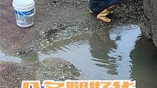 赶海多翻石头会有惊喜，巨石缝躲着八条腿的好货，来叔越抓越高兴（下）