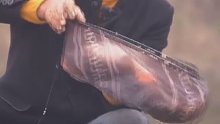 钓回锅鲤鱼(九)