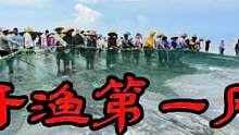 南海开海第一网，拉了一网“大货”，这一网是亏还是赚？ #赶海 #大海的味道 #渔船出海 #渔小夫 #