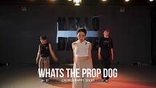 【HELLODANCE课堂】大圆choreo - Whats the Prop Dog