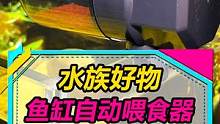 鱼缸自动喂食器，适合经常出远门或者鱼缸多的朋友~#水族 #观赏鱼 