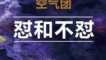  #水族 #观赏鱼 #奇异动物召集令 #养鱼最重要的是什么