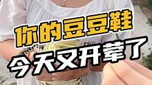 你的豆豆鞋今天开荤了#鳄珍 