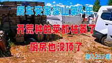 房车安家深山第4年开荒种的菜都枯萎了，厨房也没顶了，这可咋办