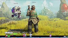 Apex Legends 双排