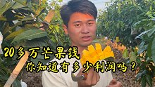 你知道6000单芒果有多少利润吗？