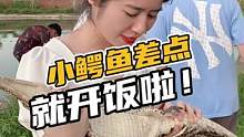 小鳄鱼差点就开饭啦！#鳄珍