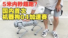 超跑5米内跑不过狗？用机器狗跑04真不靠谱！