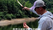 钓水库的味道每次都不一样，总是有意外与惊喜(二)