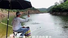 钓水库的味道每次都不一样，总是有意外与惊喜(二十一)