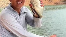 钓水库的味道每次都不一样，总是有意外与惊喜(九)