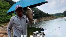 钓水库的味道每次都不一样，总是有意外与惊喜(六)