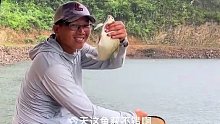 钓水库的味道每次都不一样，总是有意外与惊喜(十二)