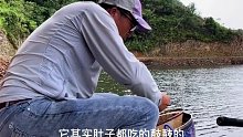 钓水库的味道每次都不一样，总是有意外与惊喜(十三)