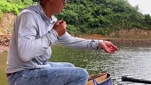 钓水库的味道每次都不一样，总是有意外与惊喜(十四)