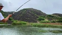 这是我们这边少有的山，而我今天也碰上我不常见的鱼情(十四)
