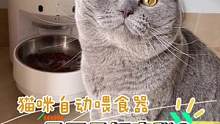 懒还爱操心，只能让智能喂食器替我安排这逆子的一日七餐了#萌宠好物