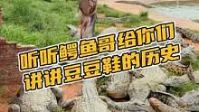 听听鳄鱼哥给你们讲讲豆豆鞋的历史#鳄珍 