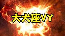大犬座VY：隐藏在巨大尘云中的“宇宙巨兽”。 #夏日科普星探企划 