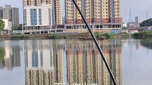 刘长杆志强钓鲢鳙(二十)