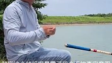 碰上这种上鱼的节奏，大家应该会和我一样钓得嗨吧(三)