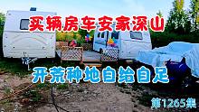 买辆房车安家深山，开荒种地自给自足，享受丰收的喜悦