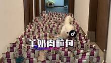 小猫咪都爱喝的羊奶肉粒包，全脂羊奶加大块肉粒，奶肉搭配，营养美味，补水绝绝子#萌宠好物 #吃货猫 #
