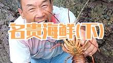 老渔民登荒岛连抓肥货，从浑坑里摸出名贵海鲜，可把来叔高兴坏了（下）