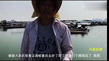 开海后的情况收获怎么样，有大青蟹有海鲜丰收吗？