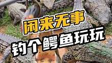 闲来无事，来鳄珍钓个鳄鱼玩玩吧！#鳄珍 